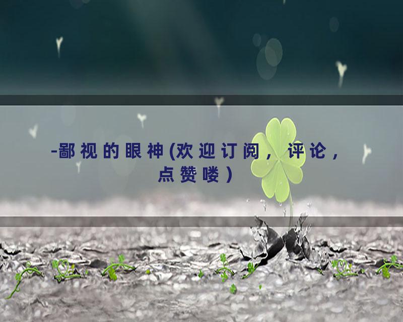 -鄙视的眼神(欢迎订阅，评论，点赞喽）