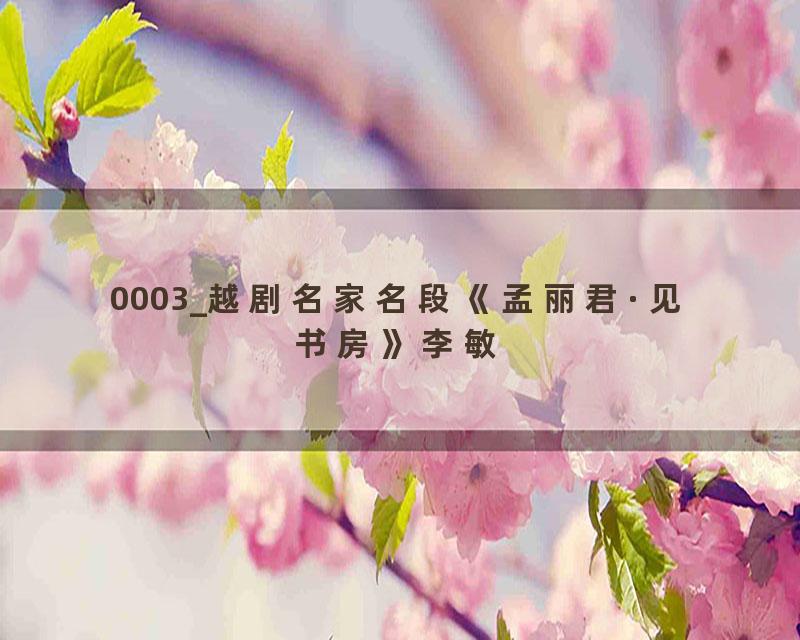 0003_越剧名家名段《孟丽君·见书房》李敏