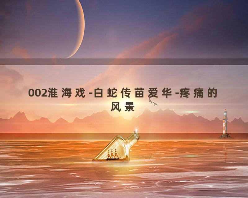 002淮海戏-白蛇传苗爱华-疼痛的风景