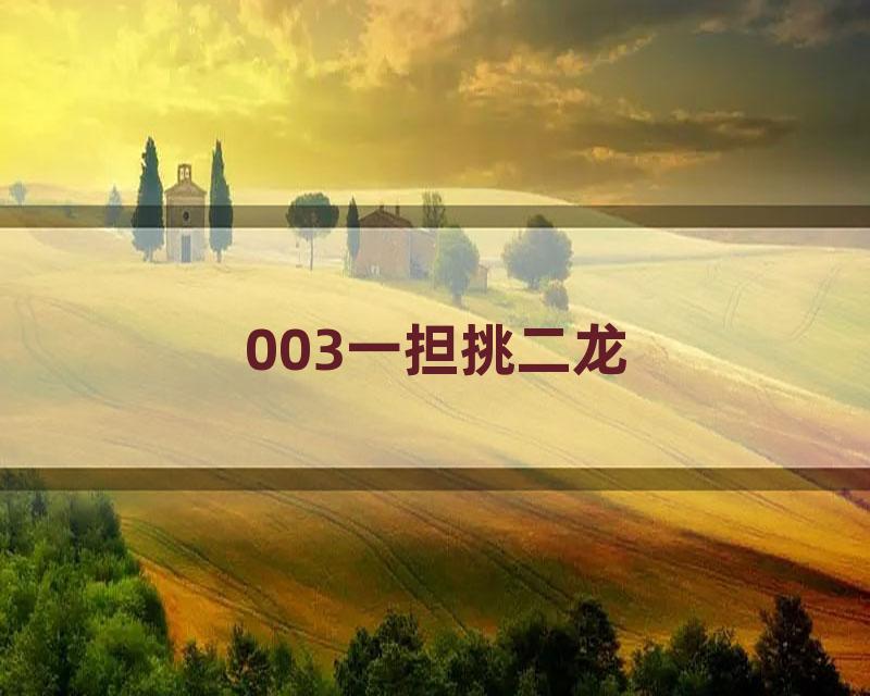 003一担挑二龙