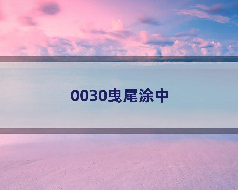 0030曳尾涂中