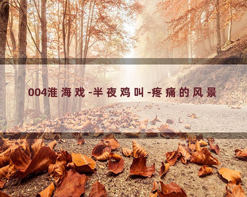 004淮海戏-半夜鸡叫-疼痛的风景