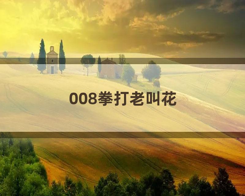 008拳打老叫花