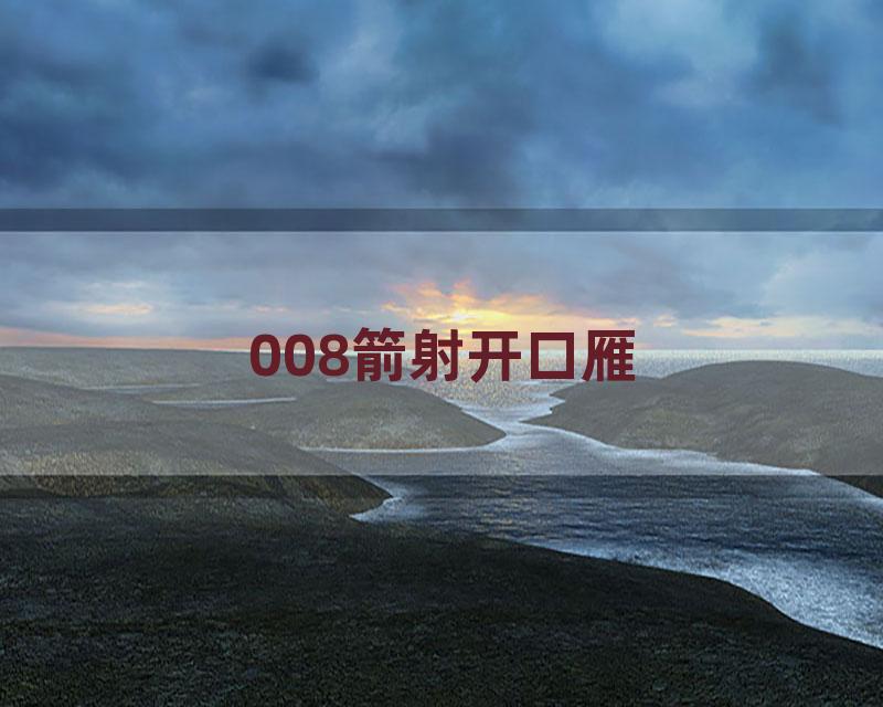 008箭射开口雁