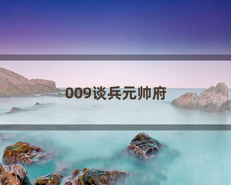 009谈兵元帅府