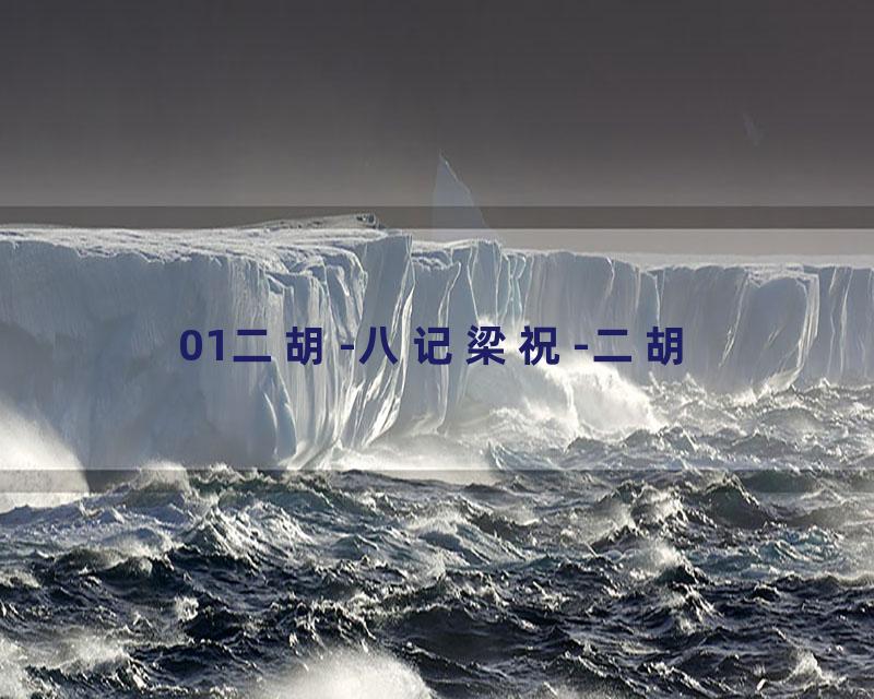 01二胡-八记梁祝-二胡