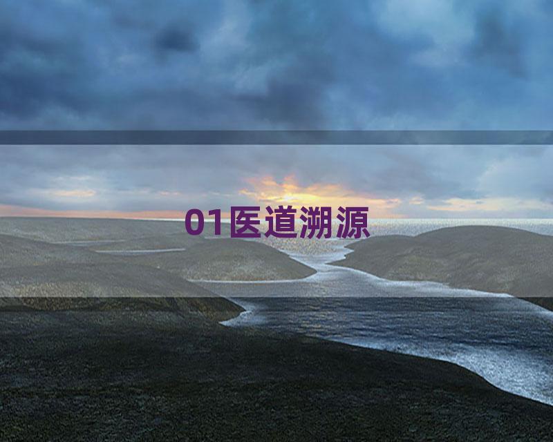 01医道溯源