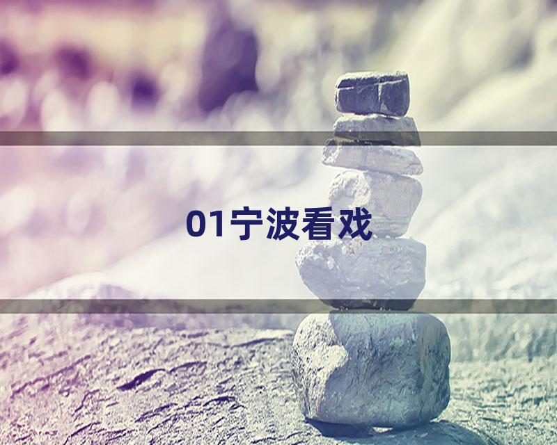01宁波看戏