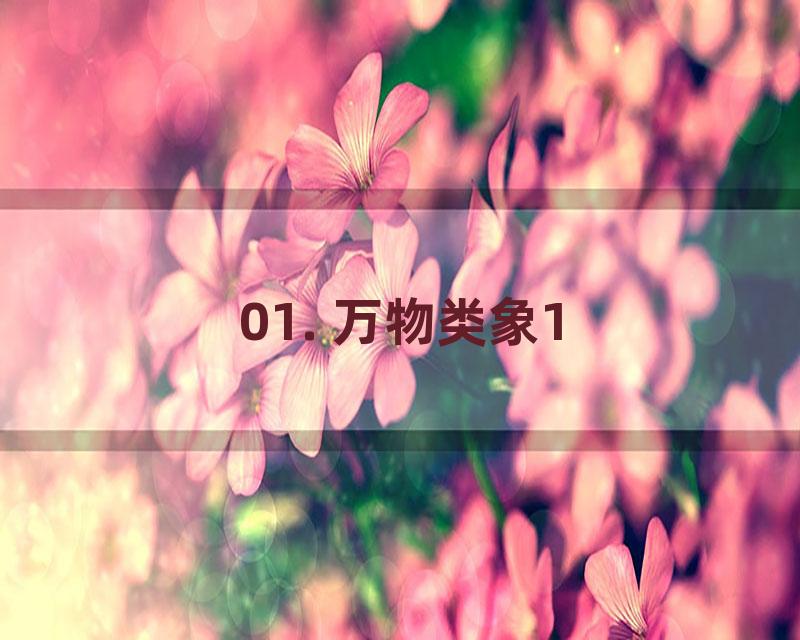 01. 万物类象1