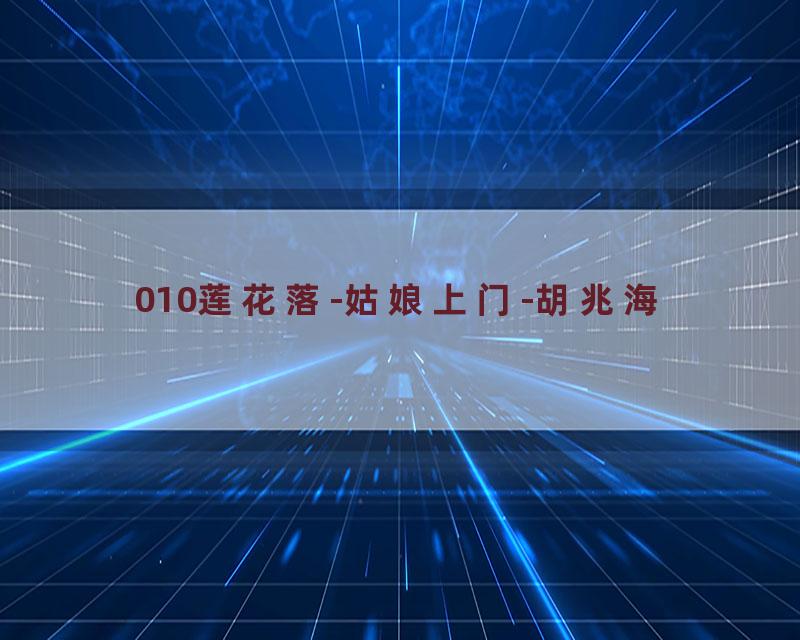 010莲花落-姑娘上门-胡兆海