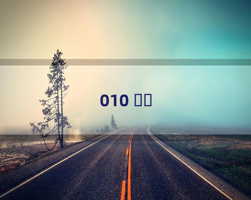 010 ʩҽ