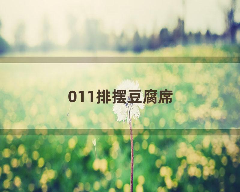 011排摆豆腐席