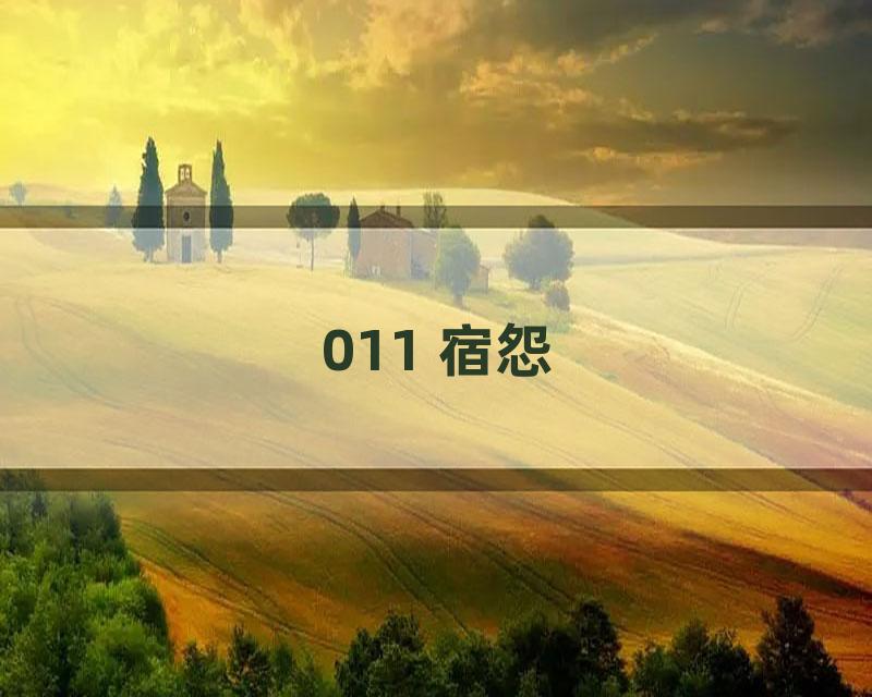 011 宿怨