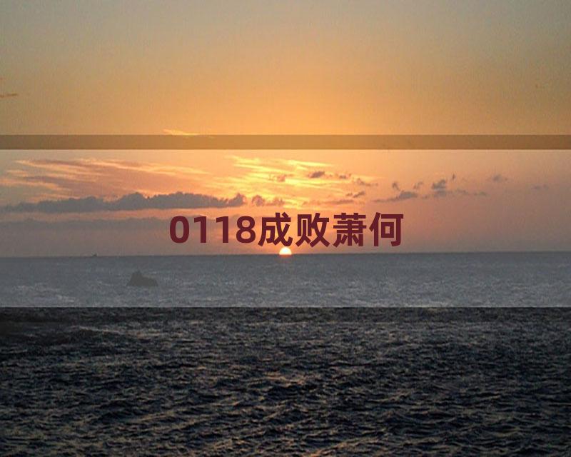 0118成败萧何