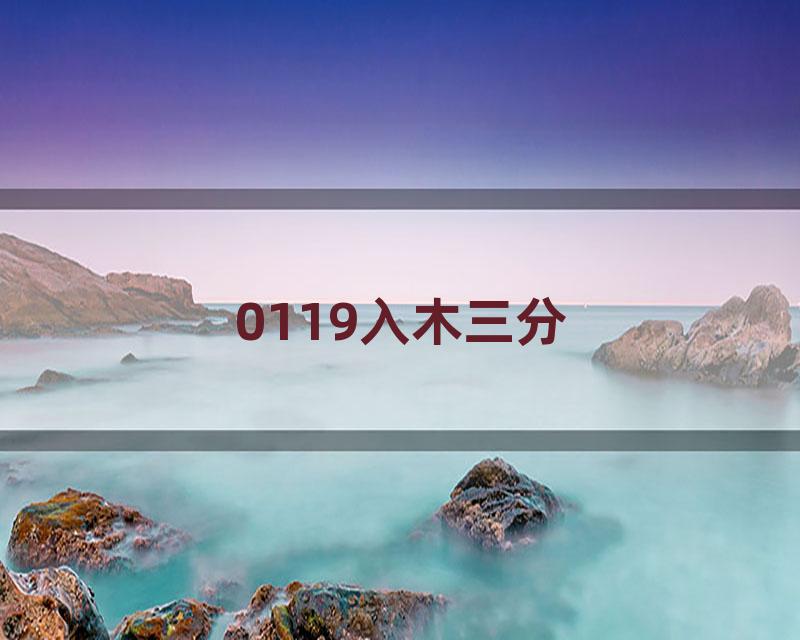 0119入木三分
