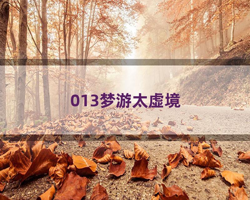 013梦游太虚境