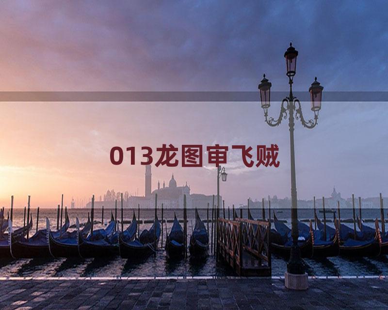 013龙图审飞贼