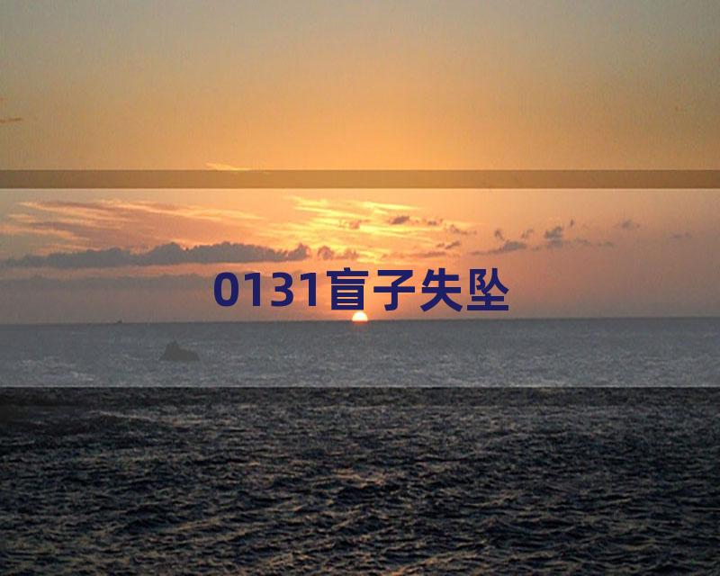 0131盲子失坠