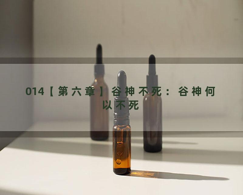 014【第六章】谷神不死：谷神何以不死