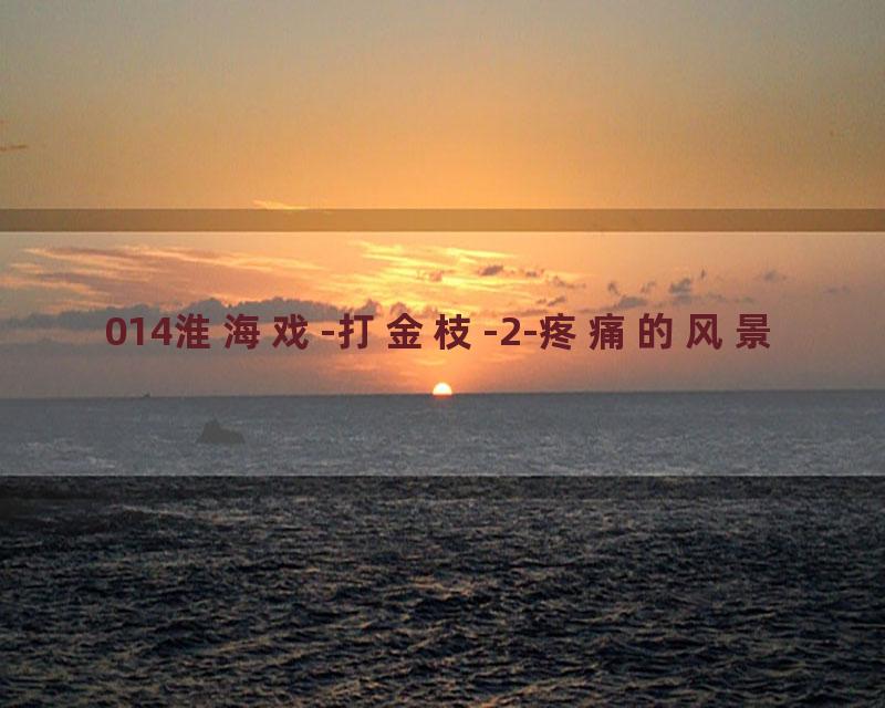 014淮海戏-打金枝-2-疼痛的风景
