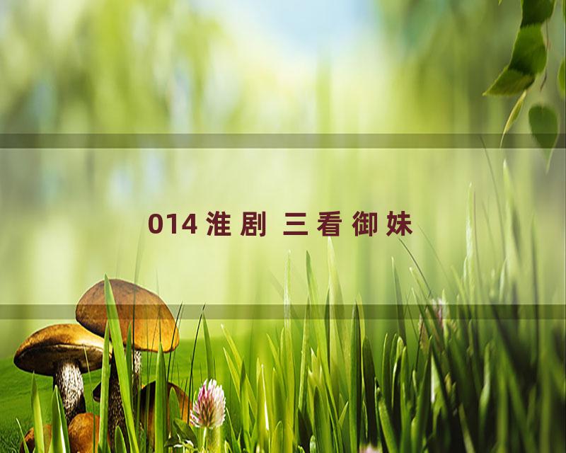 014 淮剧 三看御妹