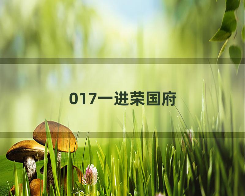 017一进荣国府