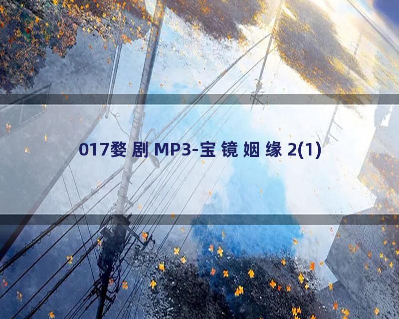017婺剧MP3-宝镜姻缘2(1)