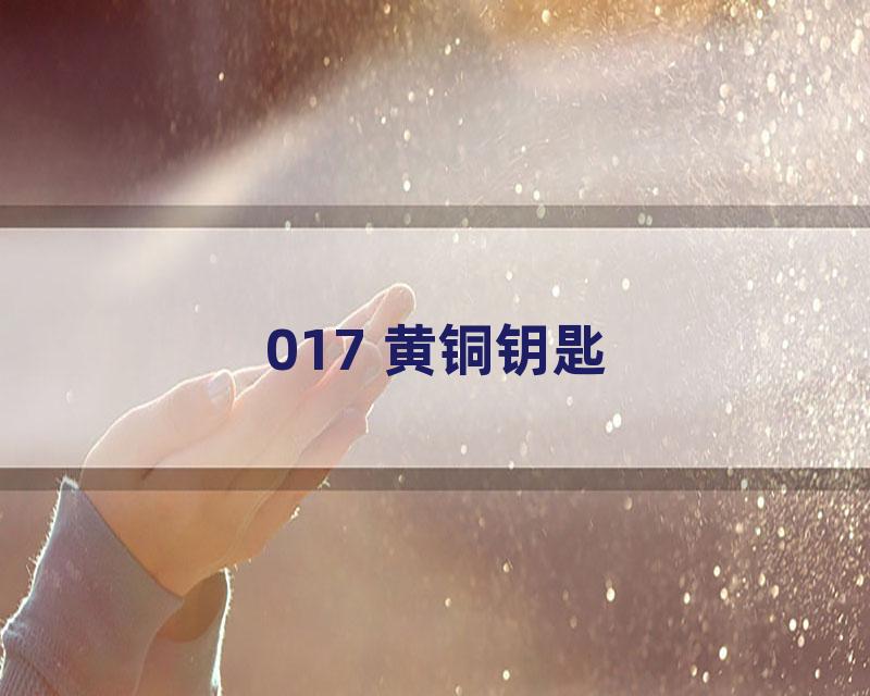 017 黄铜钥匙