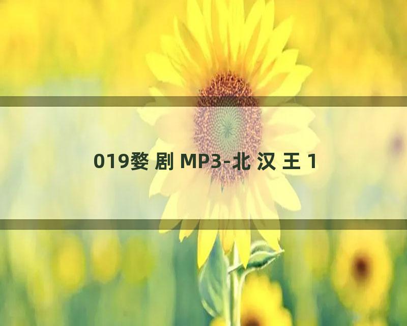 019婺剧MP3-北汉王1
