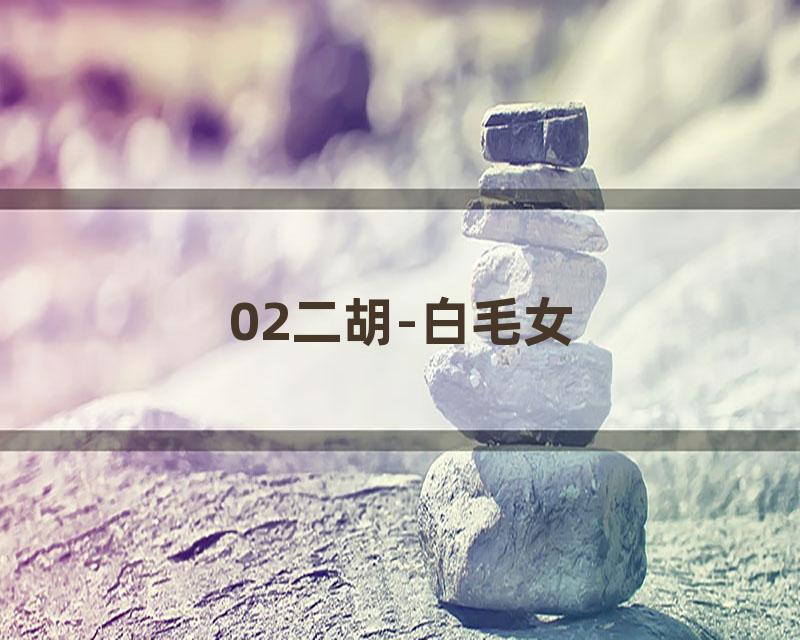 02二胡-白毛女