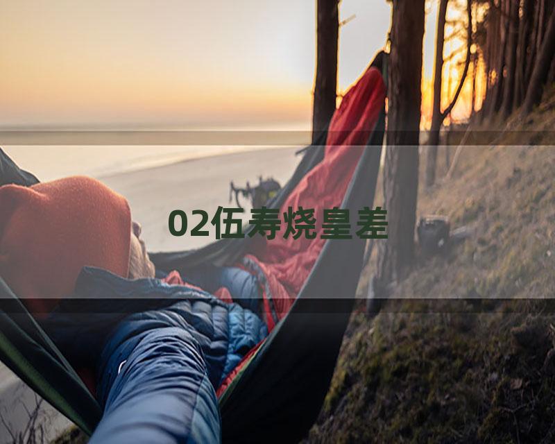 02伍寿烧皇差