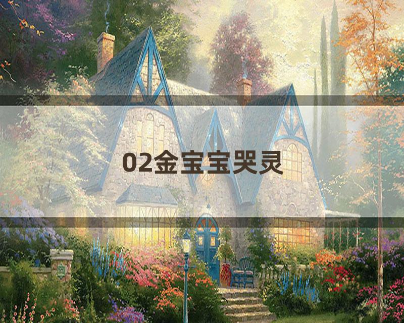 02金宝宝哭灵