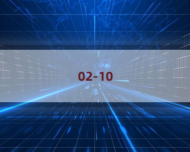 02-10