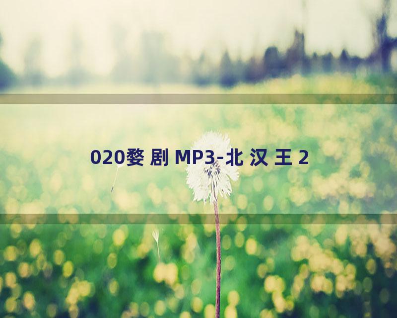 020婺剧MP3-北汉王2