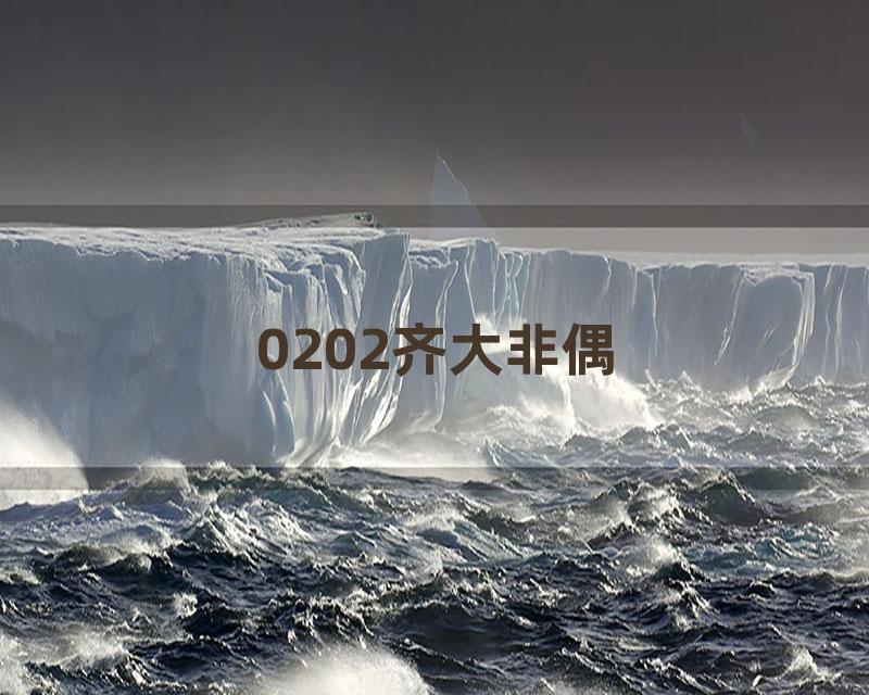 0202齐大非偶