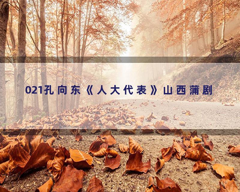 021孔向东《人大代表》山西蒲剧