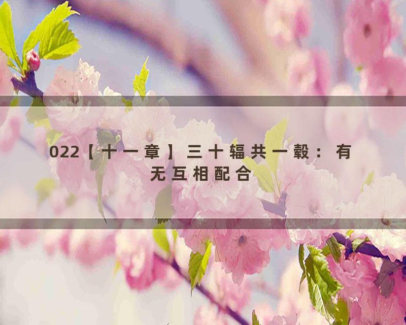 022【十一章】三十辐共一毂：有无互相配合