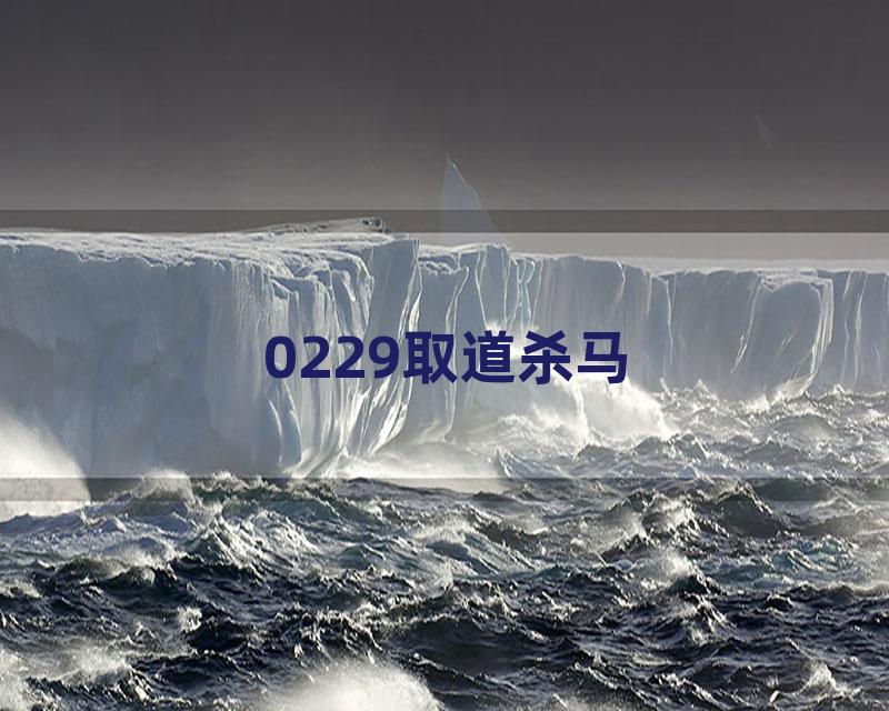 0229取道杀马