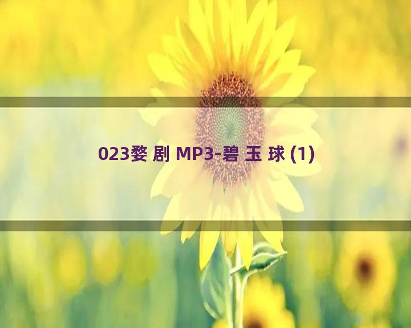 023婺剧MP3-碧玉球(1)