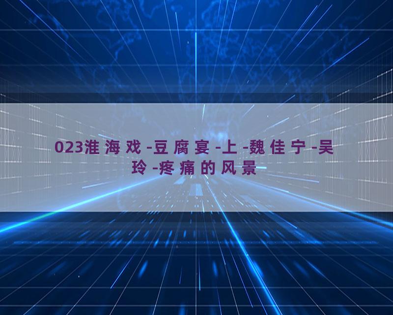 023淮海戏-豆腐宴-上-魏佳宁-吴玲-疼痛的风景