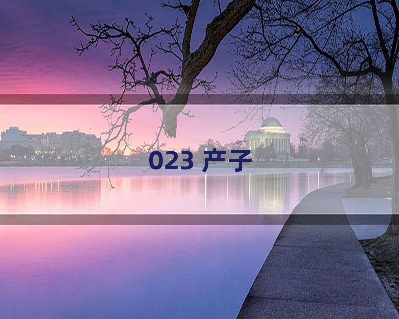 023 产子