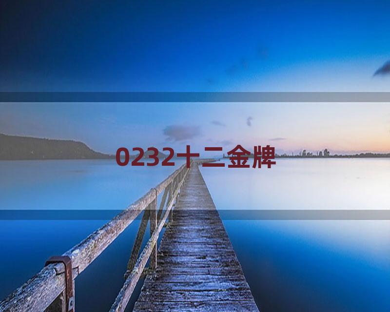 0232十二金牌