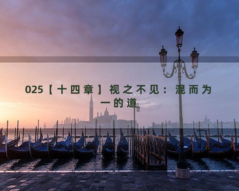025【十四章】视之不见：混而为一的道