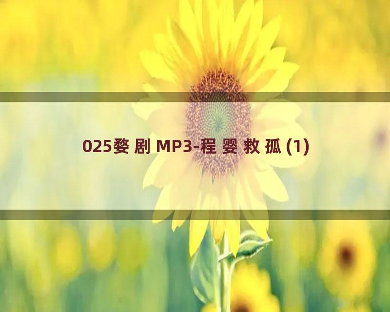025婺剧MP3-程婴救孤(1)