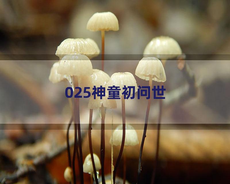 025神童初问世