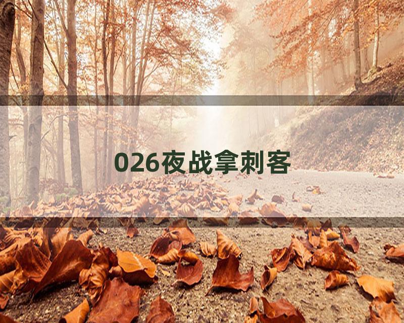 026夜战拿刺客