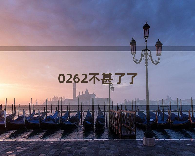 0262不甚了了