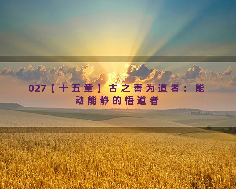 027【十五章】古之善为道者：能动能静的悟道者
