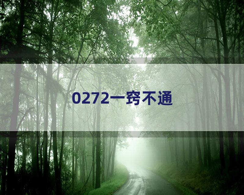0272一窍不通
