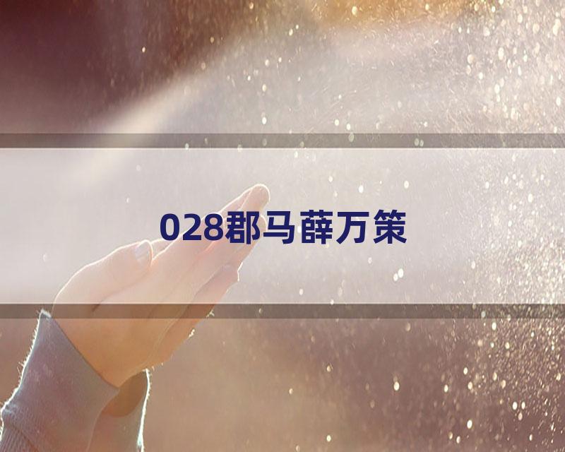 028郡马薛万策